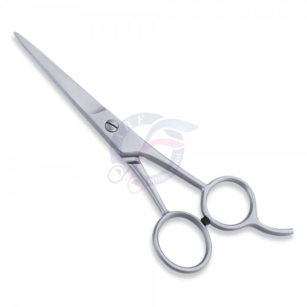 Economy Scissor