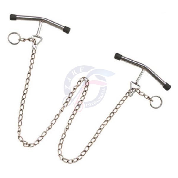Chain With Handle