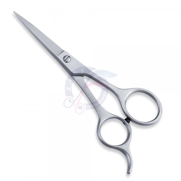 Economy Scissor