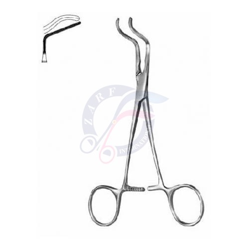 Subramanian-Miniature 