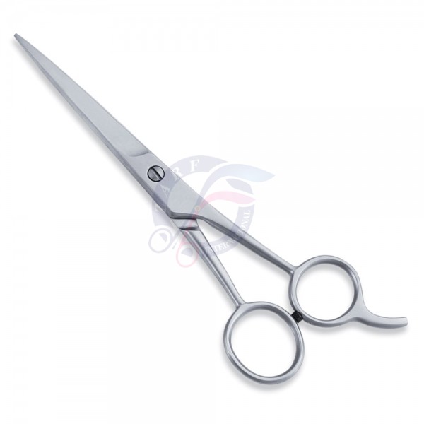 Economy Scissor
