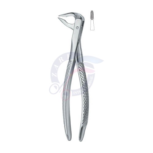 Tooth Extracting Forceps|(eng)