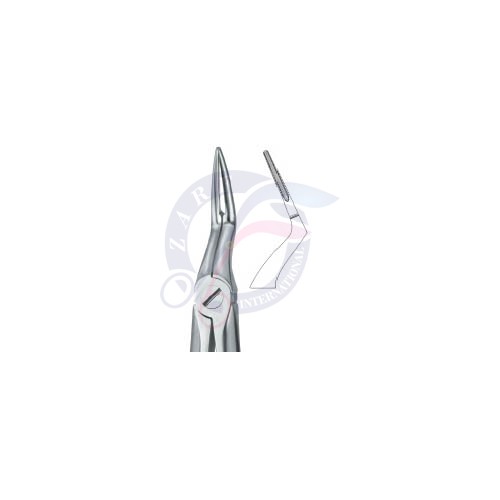 Tooth Extracting Forceps|(eng)