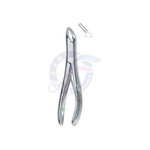 Teeth and Roots, Universal 151Sk