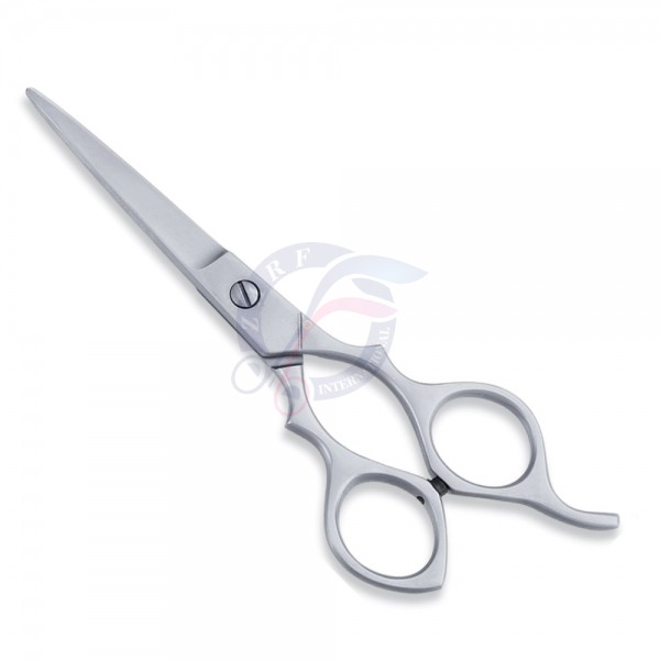 Economy Scissor