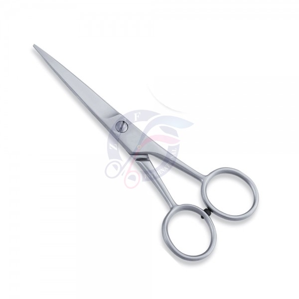 Economy Scissor