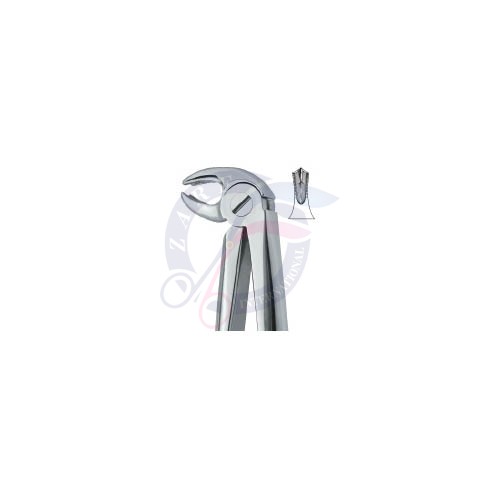 Lower Molars ,Universal 22